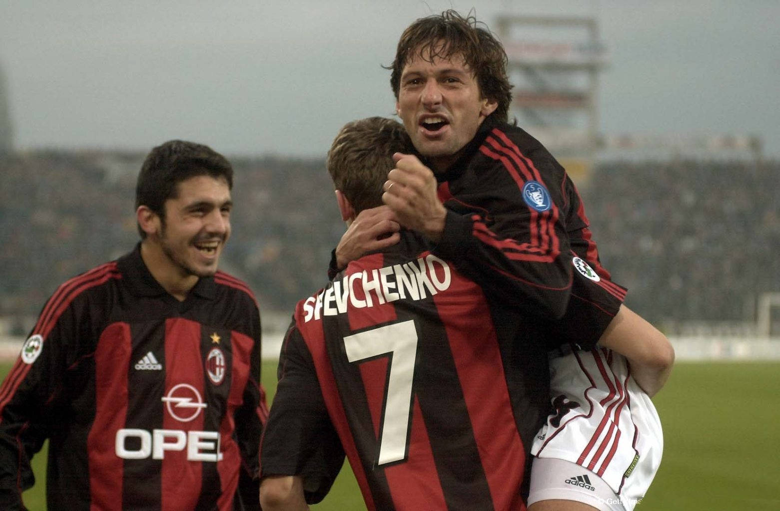 全面提升的 全面提升的