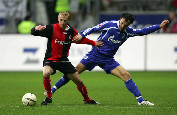 欢庆与希望 欢庆与希望